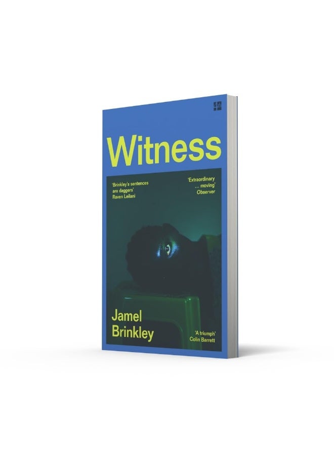 Witness: the stunning new short story collection of families and relationships – ‘Brinkley’s sentences are daggers’ Raven Leilani - Image 3
