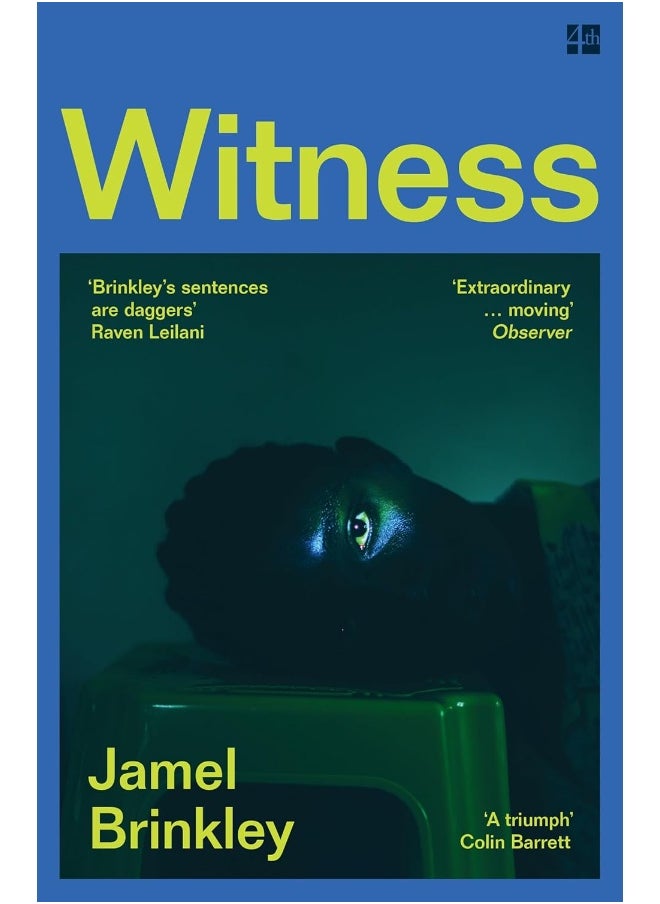 null - Witness: the stunning new short story collection of families and relationships – ‘Brinkley’s sentences are daggers’ Raven Leilani - Image 1
