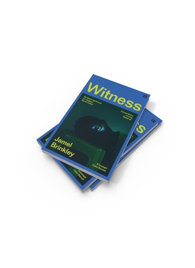null - Witness: the stunning new short story collection of families and relationships – ‘Brinkley’s sentences are daggers’ Raven Leilani - Image 1