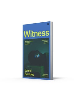 Witness: the stunning new short story collection of families and relationships – ‘Brinkley’s sentences are daggers’ Raven Leilani