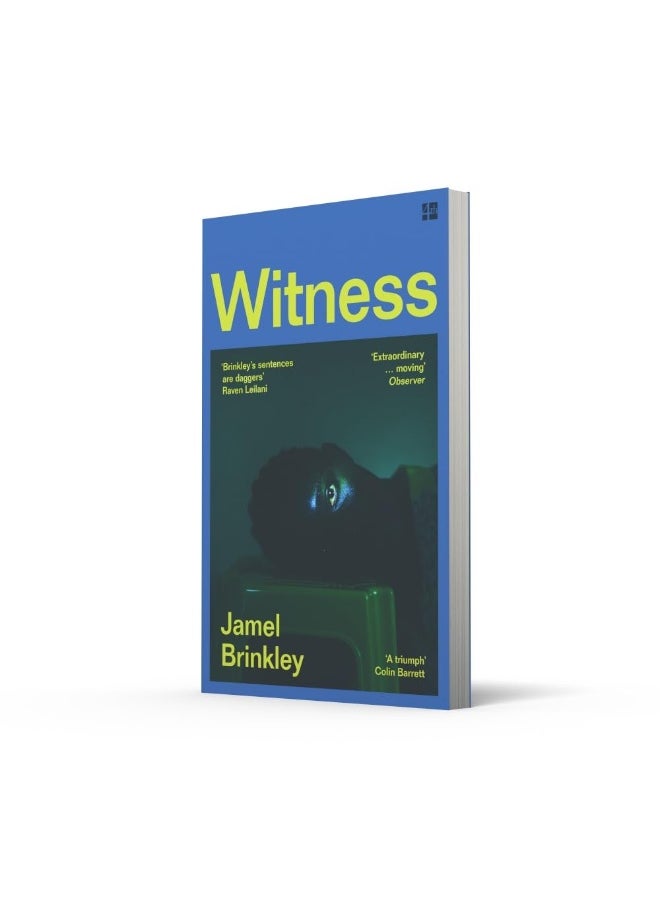 null - Witness: the stunning new short story collection of families and relationships – ‘Brinkley’s sentences are daggers’ Raven Leilani - Image 1