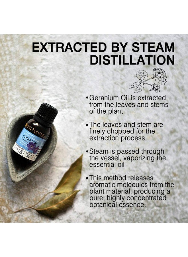 Soulflower Geranium Essential Oil For Moisturizing Hair & Skin 100% Pure, Natural & Undiluted Essential Oil, Ecocert Cosmos Organic Certified, (Pack Of 2) 15Ml Each - Image 3