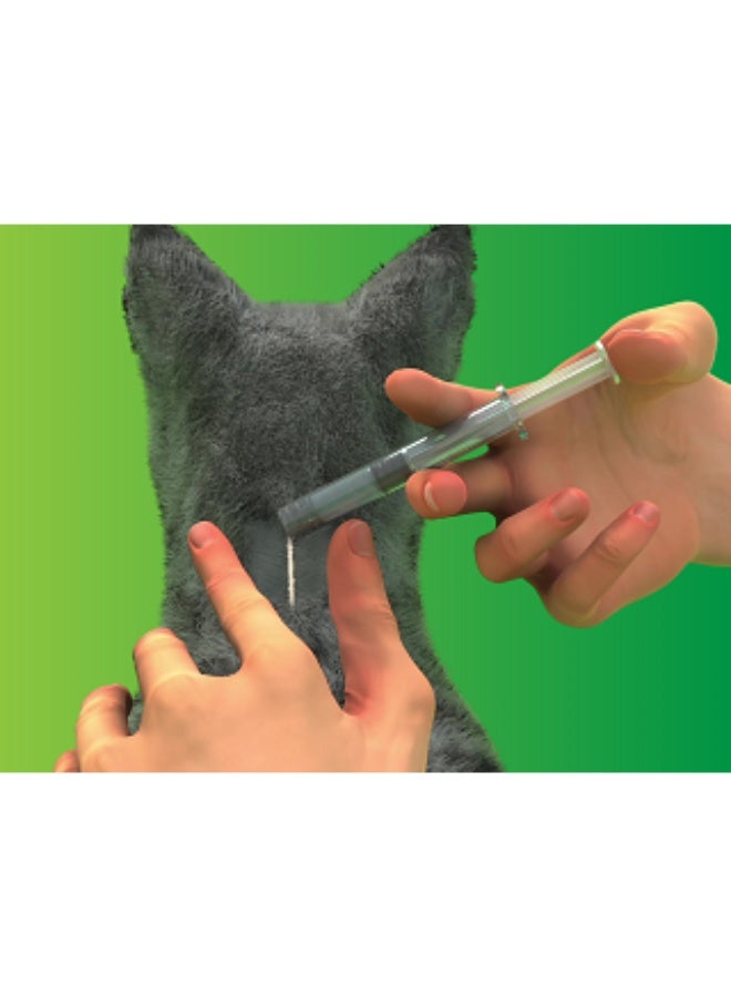 NexGard Combo drops against fleas, ticks and helminths for cats (3 pipette) Under 2.5 kg - Image 5