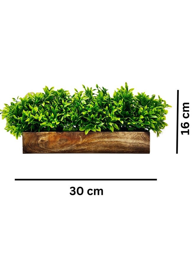 Dekorly Artificial Plants Bunch in Wood Planter, Faux Gardenia for Home Tabletop Balcony, Bedroom Living Room Housewarming, Wedding Decoration (Green-H) - Image 3