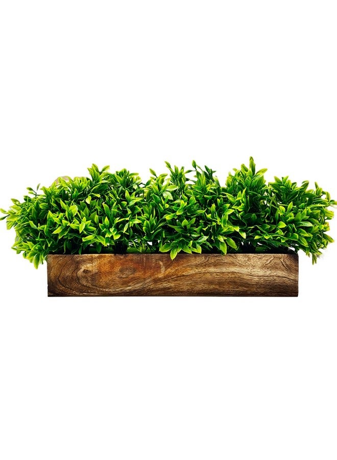 Dekorly Artificial Plants Bunch in Wood Planter, Faux Gardenia for Home Tabletop Balcony, Bedroom Living Room Housewarming, Wedding Decoration (Green-H) - Image 2