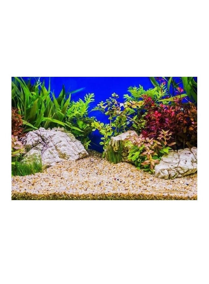 Natural Color Aquarium Fish Tank Decoration Gold Stones 1-2mm - Image 2