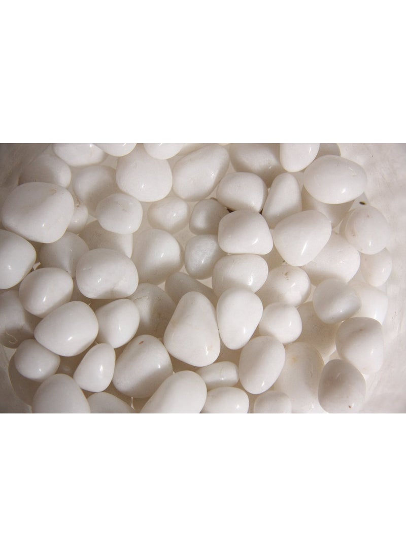 OhhSome OhhSome 500Gm White Marble Stone Polished Decorative Pebble Pebbles for Flower Vase All Purpose Pack  - Image 1