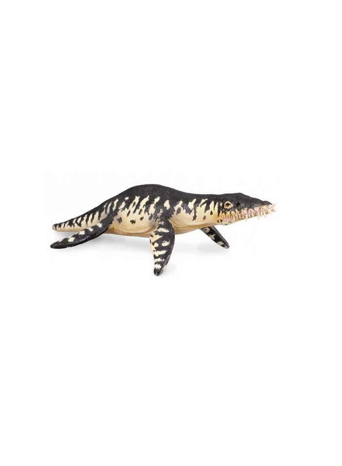 COLLECTA LIOPLEURODON