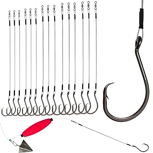 Dovesun 30PCS Circle Hooks Fishing Pre-Rigged Catfish Rig for Saltwater Freshwater Catfish Hooks with Wire Leader Five Sizes 2/0 4/0 6/0 8/0 10/0 - Image 1