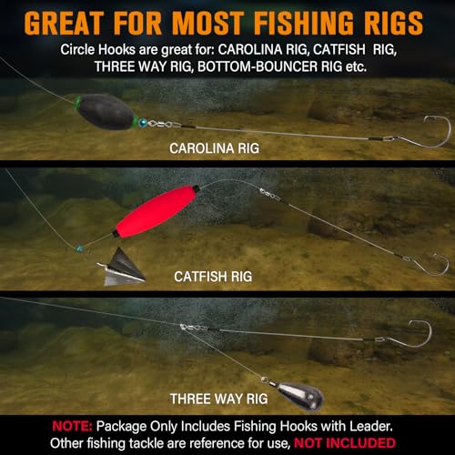 Dovesun 30PCS Circle Hooks Fishing Pre-Rigged Catfish Rig for Saltwater Freshwater Catfish Hooks with Wire Leader Five Sizes 2/0 4/0 6/0 8/0 10/0 - Image 4