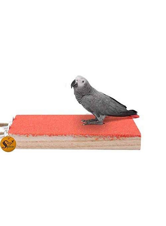 سايج سكوير منصة قفص رملية خشبية فاخرة من Sage Square - قم بتحفيز غرائز طائرك باستخدام مجثم تفاعلي، ارتقِ بموطن طائرك، وفر له ترفيهًا لا نهاية له منصة قفص رملية خشبية طبيعية مرحة - Image 1