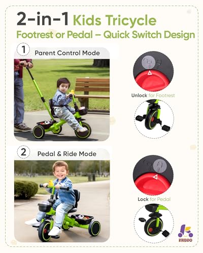 KRIDDO 2in1 Tricycle for Toddlers 155 Years Push Tricycle with Parent Steering  Detachable Handle 9Stage Adjustable Handlebar Toddler Trike with Safety Belt Clutch Pedals  Dual Baskets GN - Image 5