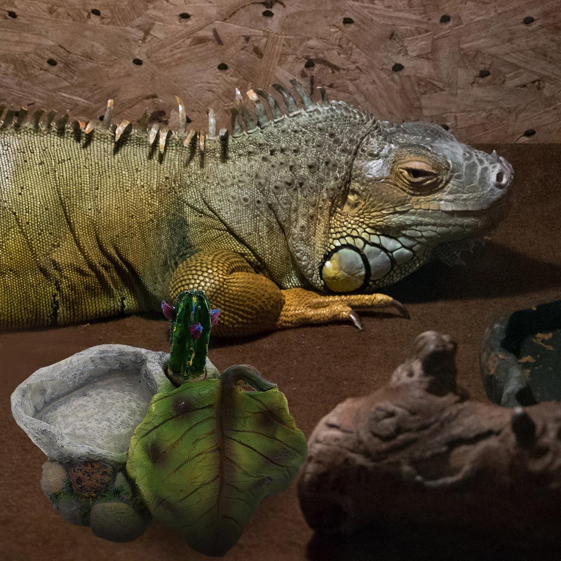 Small Resin Reptile Water Dish And Food Feeder Bowl For Turtles Lizards Snakes Terrarium - Image 5