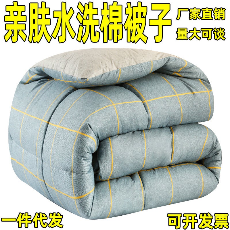 Quilt Soybean Quilt Winter Thick Quilt Thickened Warm Quilt Space Quilt Core Dormitory Single Student Bedding - Image 3