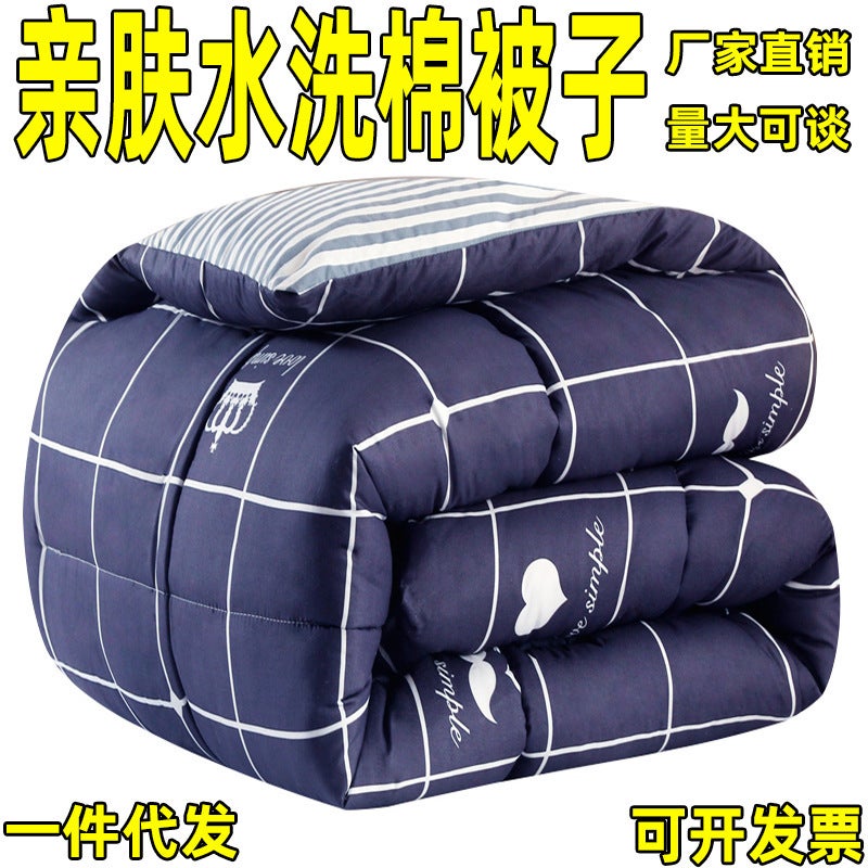 Quilt Soybean Quilt Winter Thick Quilt Thickened Warm Quilt Space Quilt Core Dormitory Single Student Bedding - Image 4