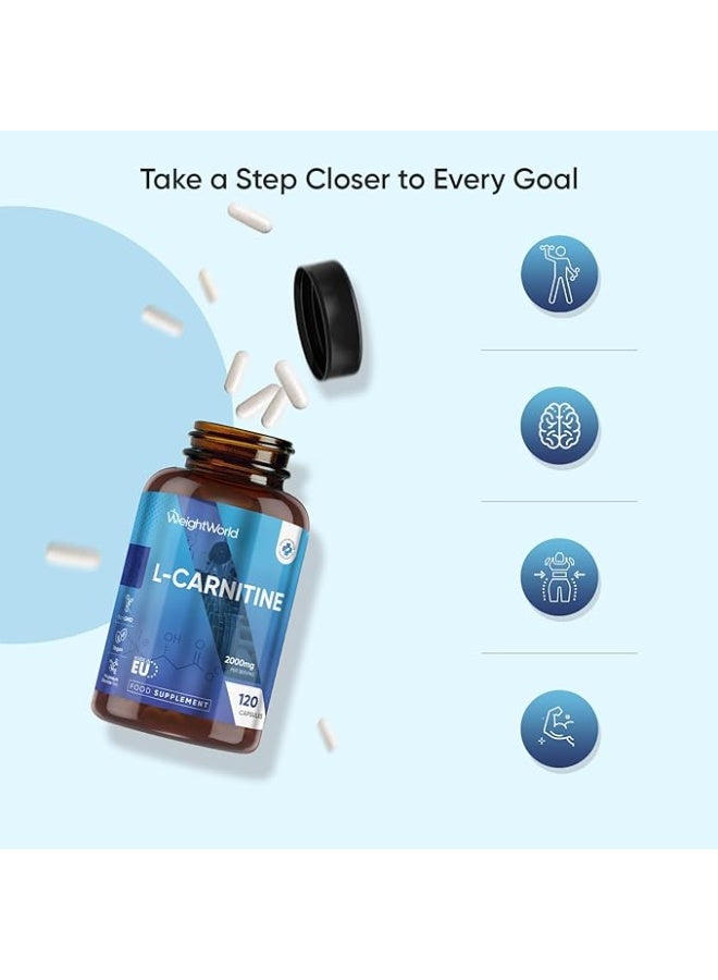 WeightWorld L-Carnitine 2000 mg • 120 Capsules • Energy Metabolism Support • Fat Burning Support • Workout Performance • Endurance Boost • Daily Supplement - Image 2