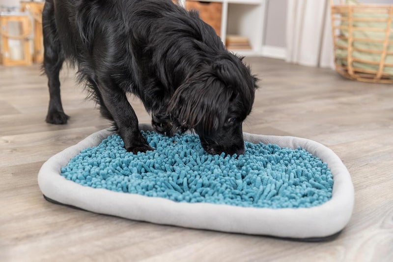 TRIXIE Snuffle  Seek Plate Sniff Mat Interactive Feeding Game Slow Feeder Level 1 Enrichment Puzzle for Dogs  Cats Pack of 2 - Image 3