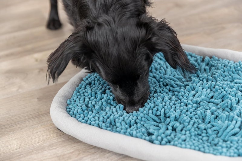 TRIXIE Snuffle  Seek Plate Sniff Mat Interactive Feeding Game Slow Feeder Level 1 Enrichment Puzzle for Dogs  Cats Pack of 2 - Image 2