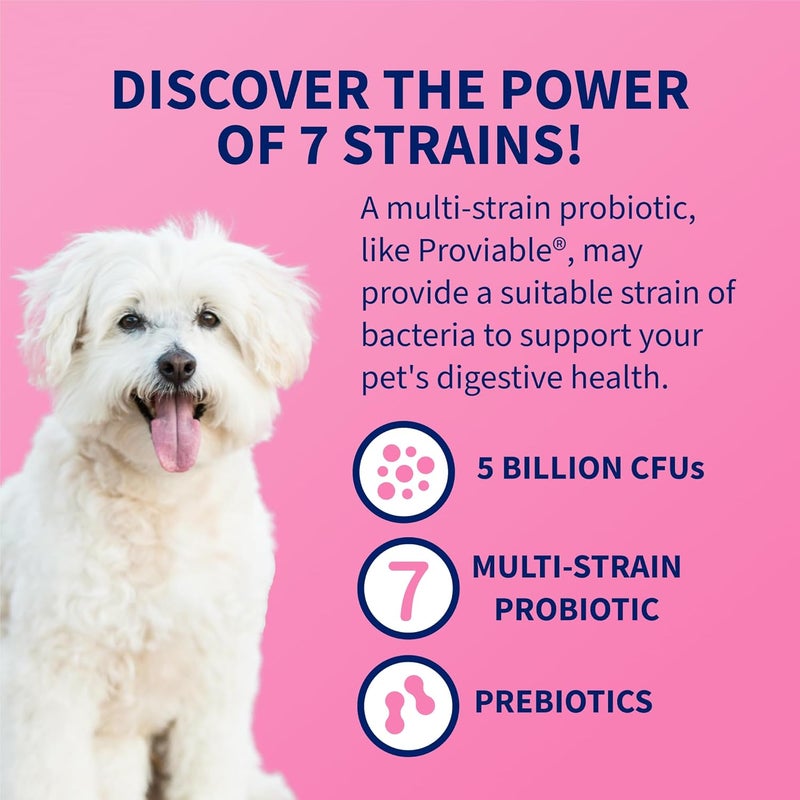 Nutramax Laboratories Nutramax Proviable Digestive Health Supplement Multi-Strain Probiotics and Prebiotics for Cats and Dogs - With 7 Strains of Bacteria, 30 Capsules - Image 4