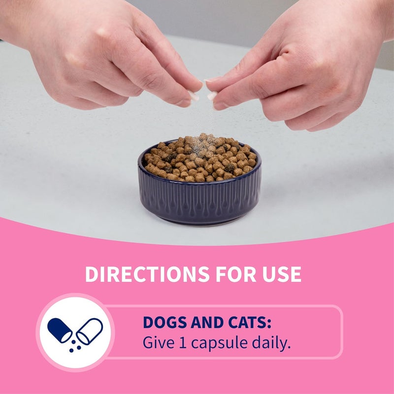 Nutramax Laboratories Nutramax Proviable Digestive Health Supplement Multi-Strain Probiotics and Prebiotics for Cats and Dogs - With 7 Strains of Bacteria, 30 Capsules - Image 5