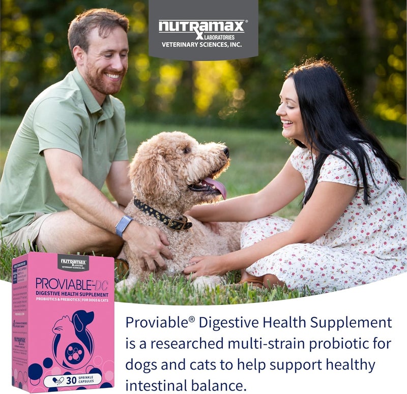 Nutramax Laboratories Nutramax Proviable Digestive Health Supplement Multi-Strain Probiotics and Prebiotics for Cats and Dogs - With 7 Strains of Bacteria, 30 Capsules - Image 3