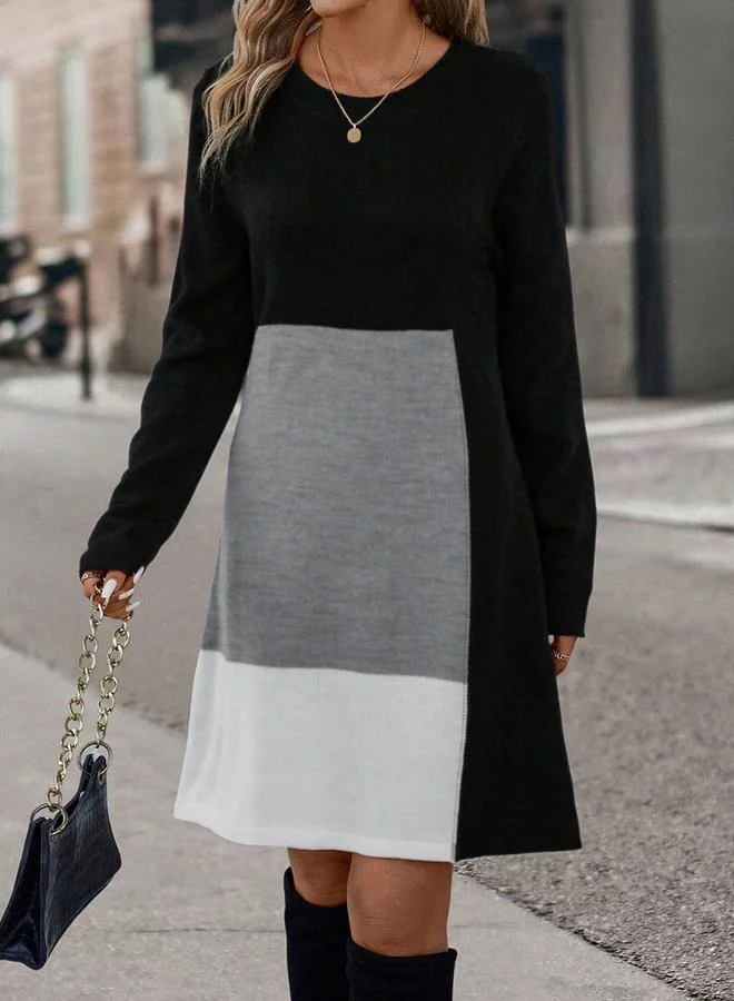 Take Two Women's Colorblocked Round Neck Long Sleeve Mini Dress