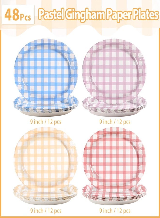 Grencian 48 Pcs Pastel Gingham Oval Paper Plates 10" x 12" Easter Colorful Checkered Large Disposable Plates Colored Plaid Platters for Wedding Picnic Camping One Silly Goose Birthday Party Supplies - Image 2