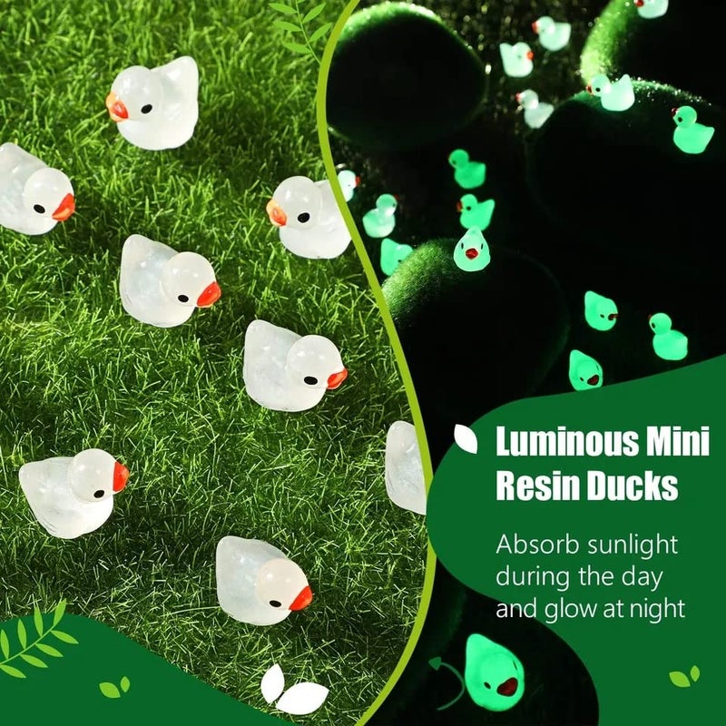 Chocozone Pack of 30 Cute Duck Miniatures Indoor Garden Decoration Fairy Garden Decor Landscape Decor - Image 3
