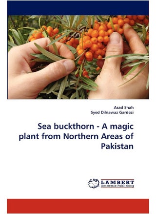 Sea Buckthorn - A Magic Plant from Northern Areas of Pakistan - pzsku/Z49738F49CB750BFD25E5Z/45/1749823636/f0a33981-d60b-437e-a77e-37827dc0e7df