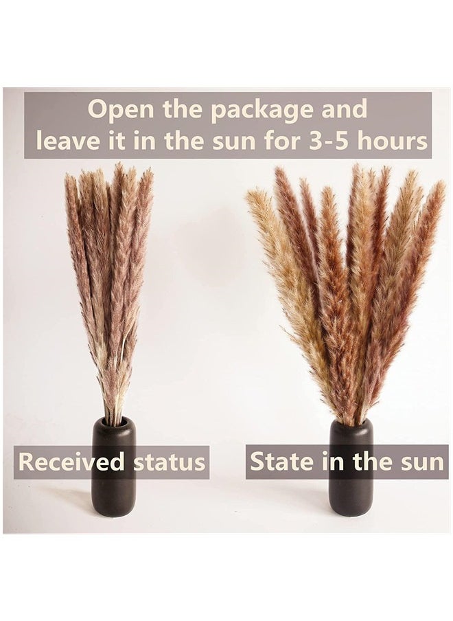 100 PCS Boho Pampas Grass, Naturally Dried Pompas, Pampas Grass Decor for Wedding , Boho Party Decorations, Table Decor