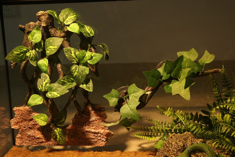 AQUA KT Reptile Climb Tree Branch Rock Background Decoration with Suction Cup for Terrarium Amphibian Lizard Snake - Image 3