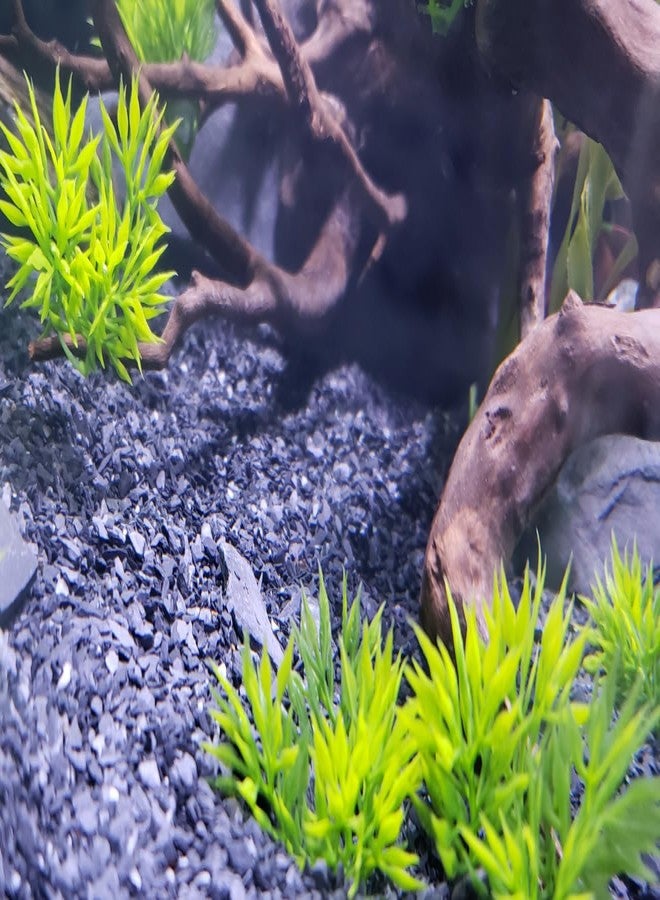 Small World Slate & Stone Aquarium Gravel - Natural Coarse Sand Substrate for Aquascaping Planted, Freshwater and Saltwater Tanks - Gravel Size Approx. 1/32" to 1/8" (6 lbs) - Image 5
