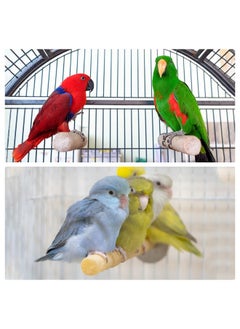 PATIKIL PATIKIL 0.6x5.5 Inch Bird Cage Perch, 2 Pack Parrot Stand Paw Grinding Stick Bird for Parakeet Cockatiel Cage Accessories, Green  - Image 5