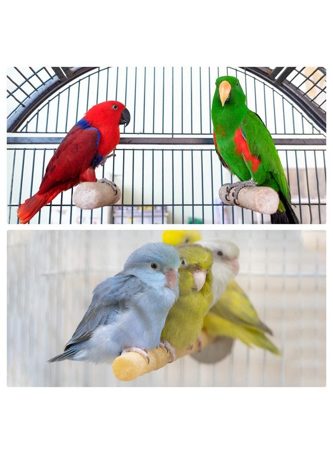 PATIKIL 0.6x5.5 Inch Bird Cage Perch, 2 Pack Parrot Stand Paw Grinding Stick Bird for Parakeet Cockatiel Cage Accessories, Green - Image 5