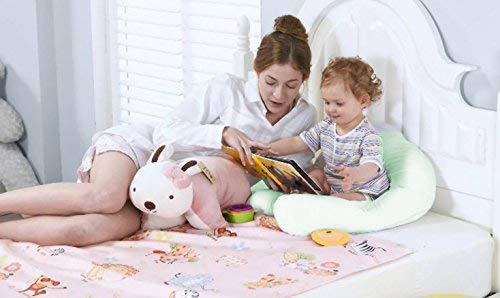 Texlux Microfiber Cozy and Very Soft Baby Pillow with 2 Pillow Cover-Mint Green - Image 4