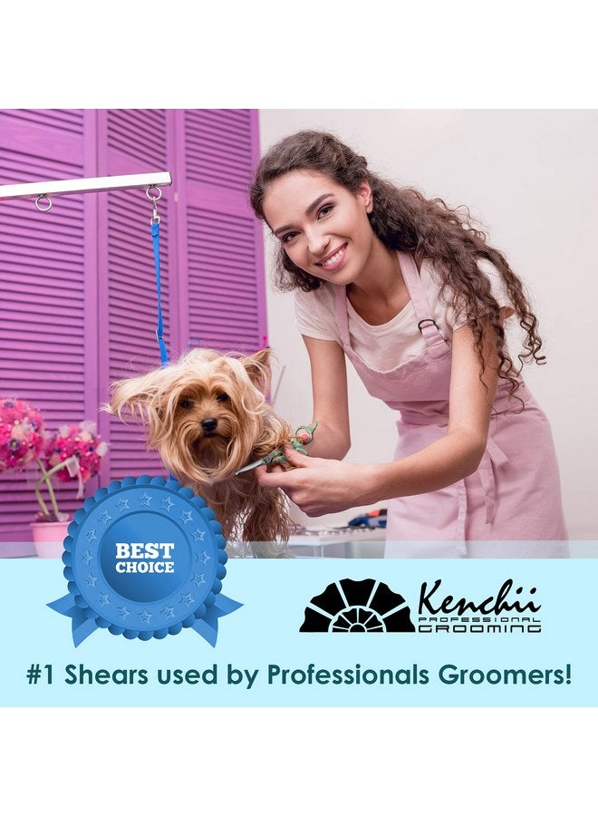Kenchii Happy Puppy Ball Tip Shears Trimming Scissors for Dogs | Pet Grooming Puppy Essentials | Stainless Steel Grooming Scissors for Dogs | Safety Blunt Tip Scissors and Dog Grooming Tools | 6.5 In - Image 5