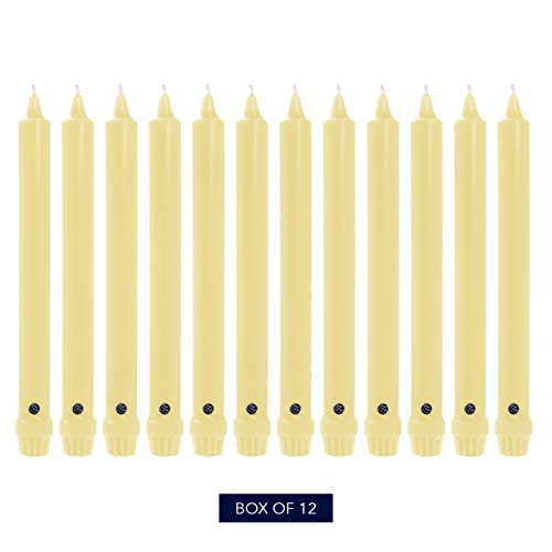 Colonial Candle Unscented Taper Candle, Classic Collection, Limoncello, 10 in, Pack of 12 - Up to 8 Hours Burn - Image 2