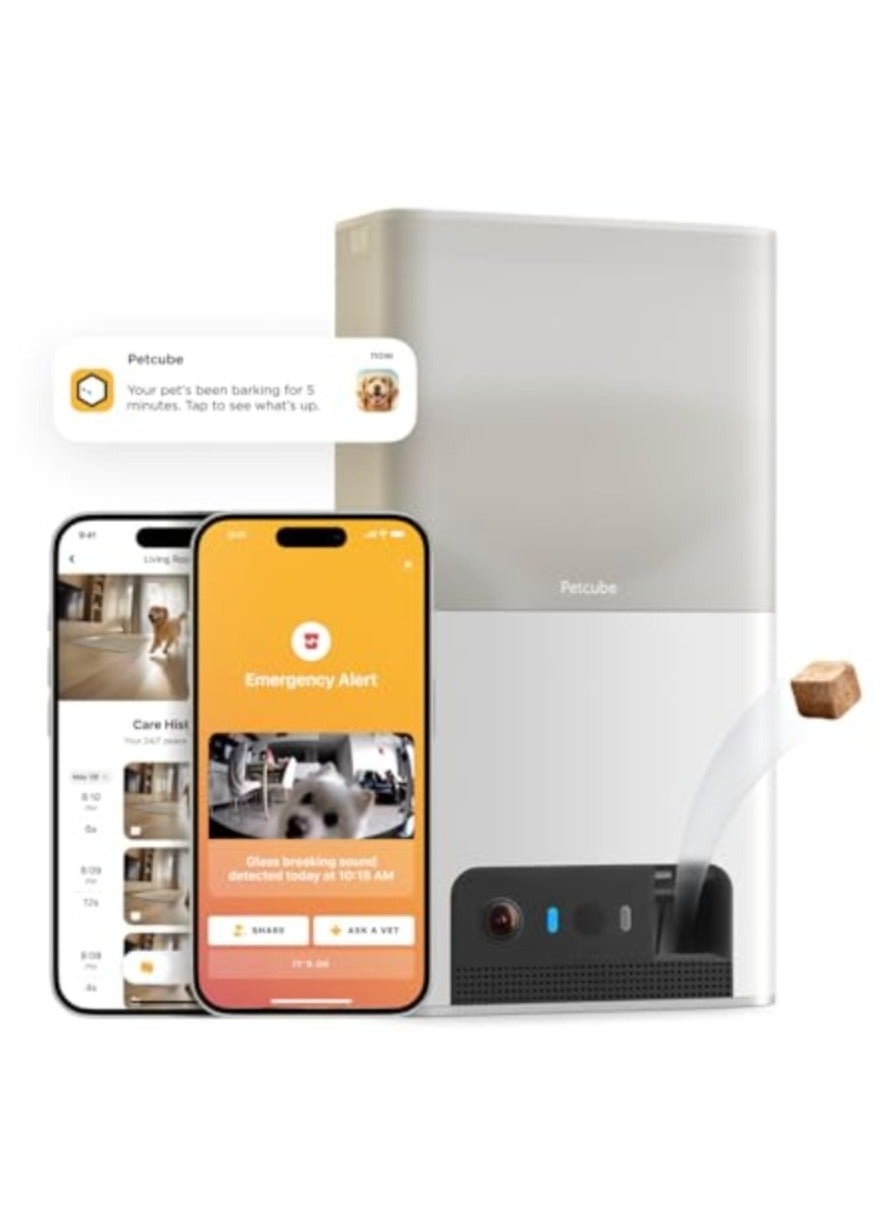 petcube Petcube Bites 2 Lite Z497AAF7FB798B3CA0BD2Z
