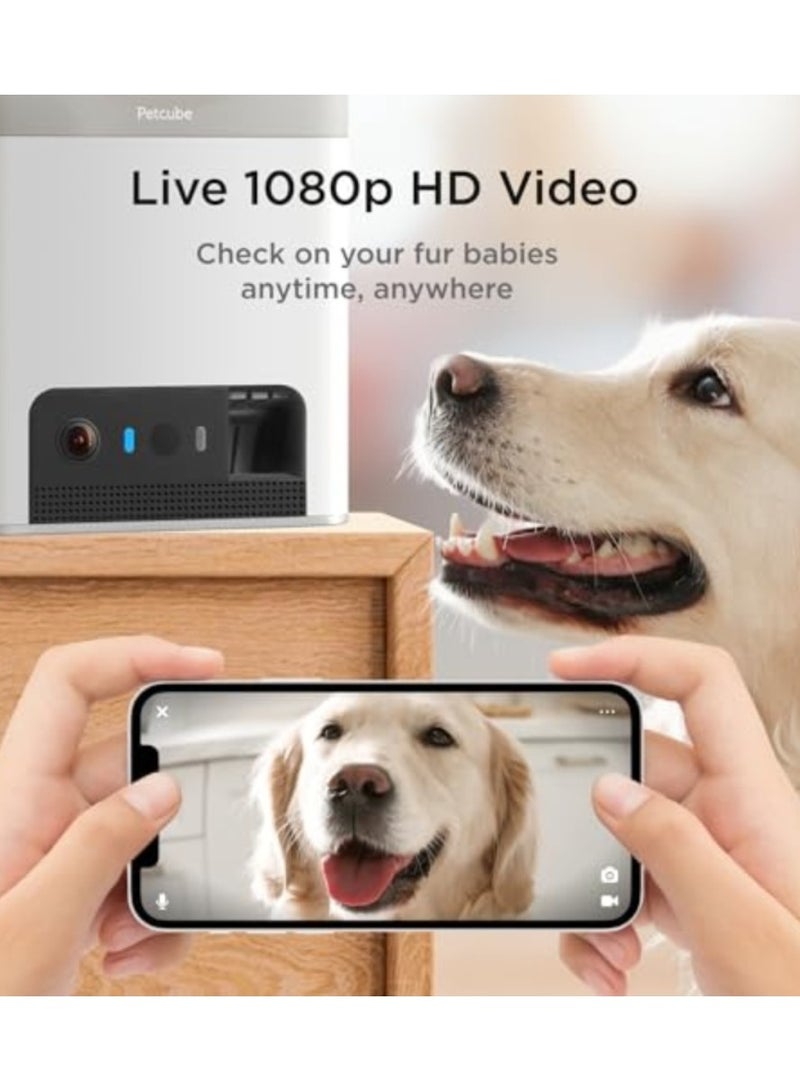 Petcube بايتس 2 لايت | كاميرا ذكية للحيوانات الأليفة بدقة HD مع موزع مكافآت، عدسة بزاوية 160°، صوت ثنائي الاتجاه - شاهد، تحدث، كافئ حيوانك الأليف من أي مكان، رؤية ليلية، متوافقة مع أليكسا، أندرويد و iOS - أبيض - Image 2