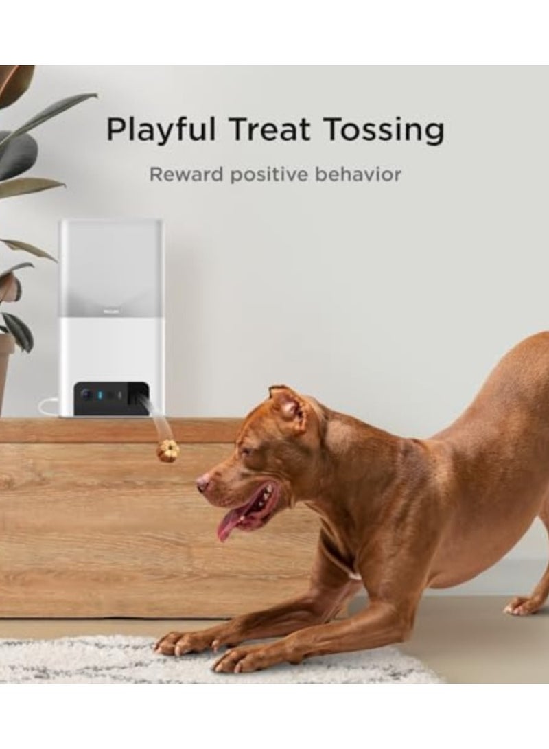 Petcube بايتس 2 لايت | كاميرا ذكية للحيوانات الأليفة بدقة HD مع موزع مكافآت، عدسة بزاوية 160°، صوت ثنائي الاتجاه - شاهد، تحدث، كافئ حيوانك الأليف من أي مكان، رؤية ليلية، متوافقة مع أليكسا، أندرويد و iOS - أبيض - Image 3