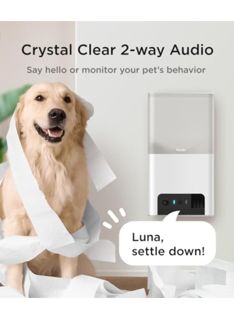 Petcube بايتس 2 لايت | كاميرا ذكية للحيوانات الأليفة بدقة HD مع موزع مكافآت، عدسة بزاوية 160°، صوت ثنائي الاتجاه - شاهد، تحدث، كافئ حيوانك الأليف من أي مكان، رؤية ليلية، متوافقة مع أليكسا، أندرويد و iOS - أبيض - Image 4