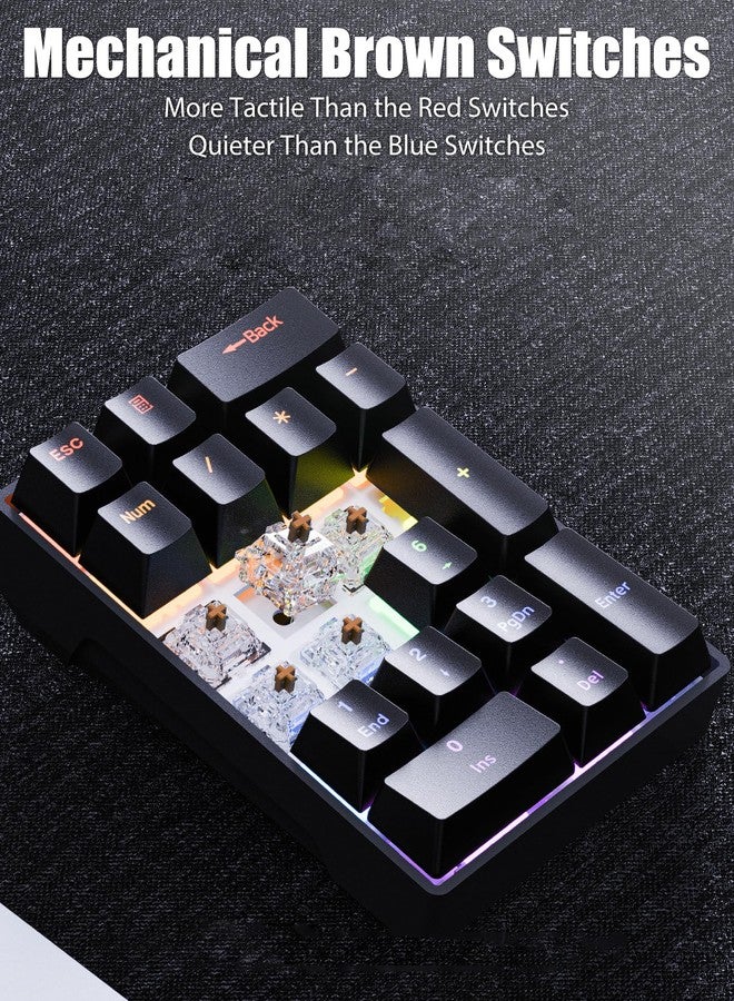 TISHLED Wired Mechanical Numpad Rainbow LED Backlit 20-Key Number Pad Brown Switches Shine Through Keycaps Detachable Cable Numeric Keyboard for PC/Laptop/Win/Mac, White - Image 5