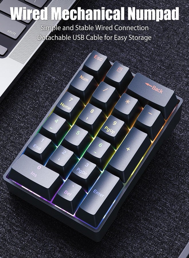 TISHLED Wired Mechanical Numpad Rainbow LED Backlit 20-Key Number Pad Brown Switches Shine Through Keycaps Detachable Cable Numeric Keyboard for PC/Laptop/Win/Mac, White - Image 2