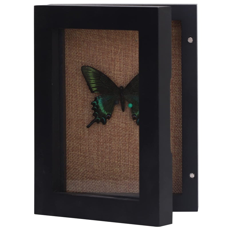 BECTSBEFF BECTSBEFF 5x7 Shadow Box Display Size 4x6 Shadow Box Frame with Glass Window Little Display Case with Hinge Mini Picture Frame Display Box for Memorabilia Photos Tickets ShellBlack 