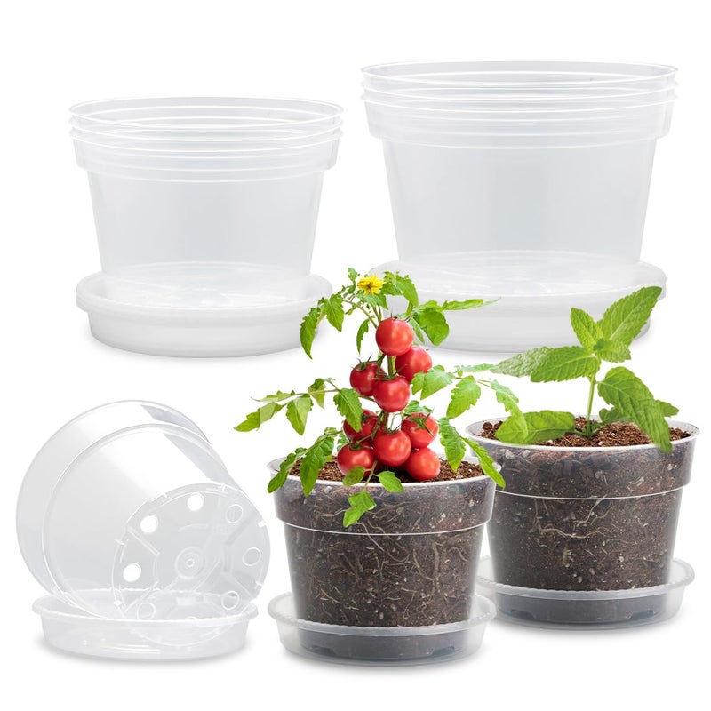 BTPLASTIK 9 Pack 876 Inch Clear Nursery Pots for Plants with Saucer Transparent Plastic Plant Pots with Drainage Holes Sturdy Seedling Starter Pot Garden Planter Pot for Succulents Flowers Herb Vegetables - Image 2
