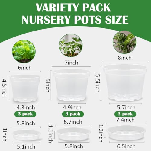 BTPLASTIK 9 Pack 876 Inch Clear Nursery Pots for Plants with Saucer Transparent Plastic Plant Pots with Drainage Holes Sturdy Seedling Starter Pot Garden Planter Pot for Succulents Flowers Herb Vegetables - Image 3