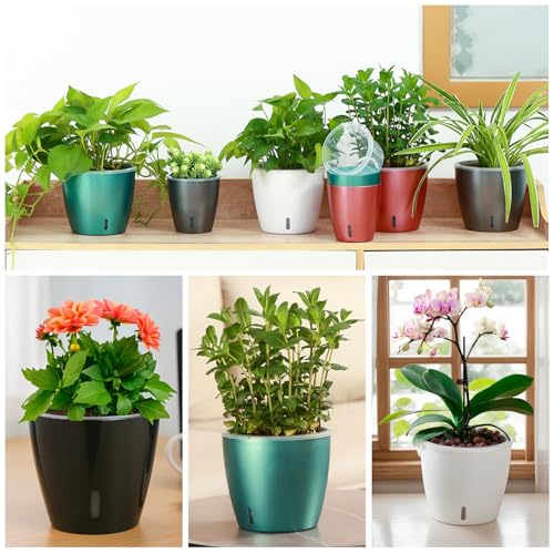 KvyusFlourish Self Watering Pots for Indoor Plants, 6-Pack 5'' Self Watering Planter with Drainage Holes, Small African Violet Pots with Water Indicator, Clear Wick Orchid Pot, Black - Image 5