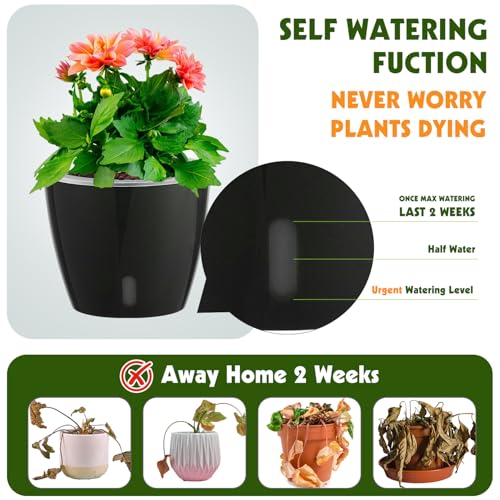KvyusFlourish Self Watering Pots for Indoor Plants, 6-Pack 5'' Self Watering Planter with Drainage Holes, Small African Violet Pots with Water Indicator, Clear Wick Orchid Pot, Black - Image 2