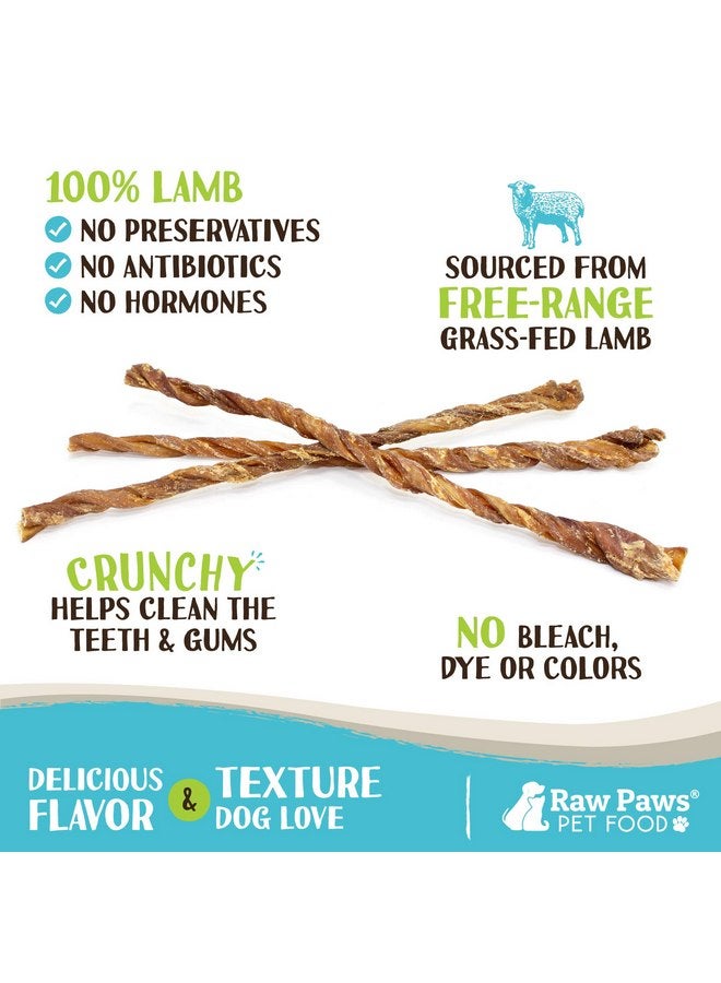 Raw Paws Lamb Esophagus Twists for Dogs, 12 inch, 5-ct - Packed in USA - Lamb Weasand Twist - Natural Dog Lamb Treats from Free-Range Sheep - Lamb Dog Treats - Gullet Lamb Esophagus Dog Treats - Image 1