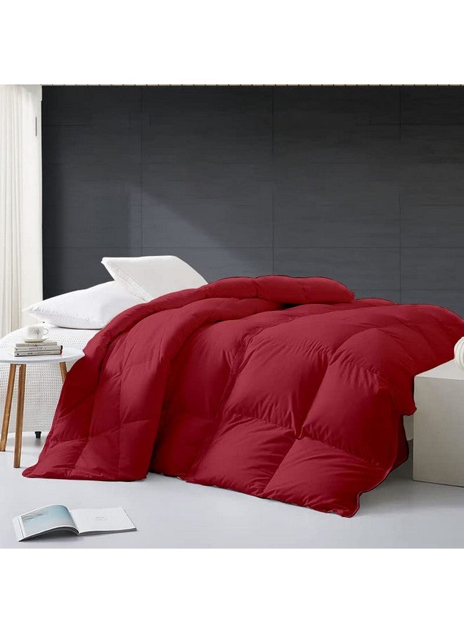 Razzai MammaYo Razzai 500 GSM Winter Comforter Premium Collection Quilted Comforter (90" x 100" Inches/228cm x 254cm) - Double Bed Comforter|Burgundy|Microfiber|lightweight - Image 2